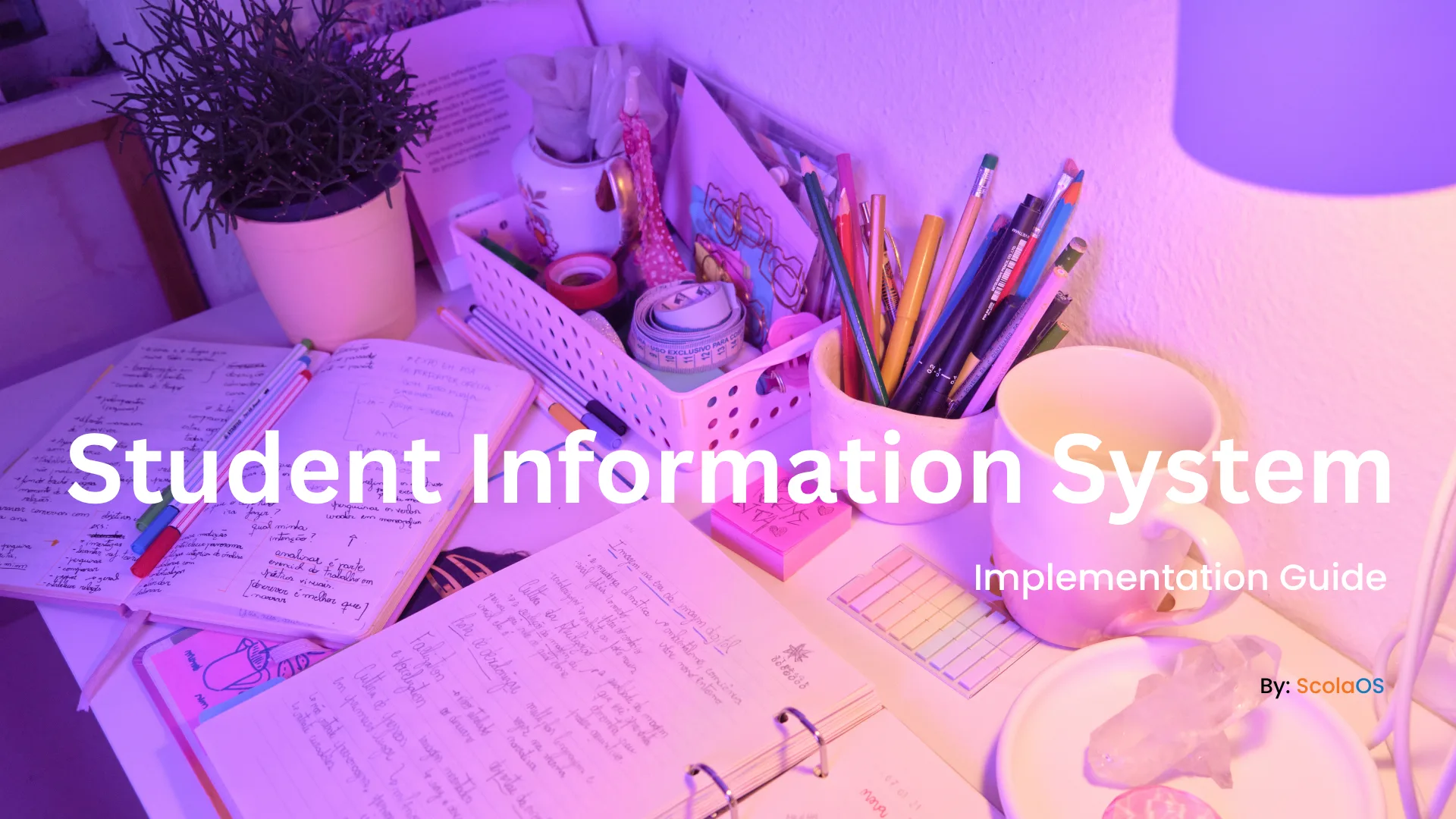 Student Information System Implementation Guide